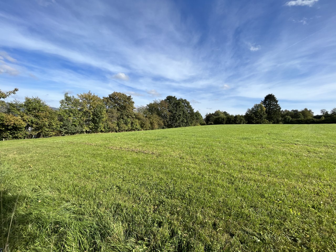 Ausblick Süd Ausblick Süd